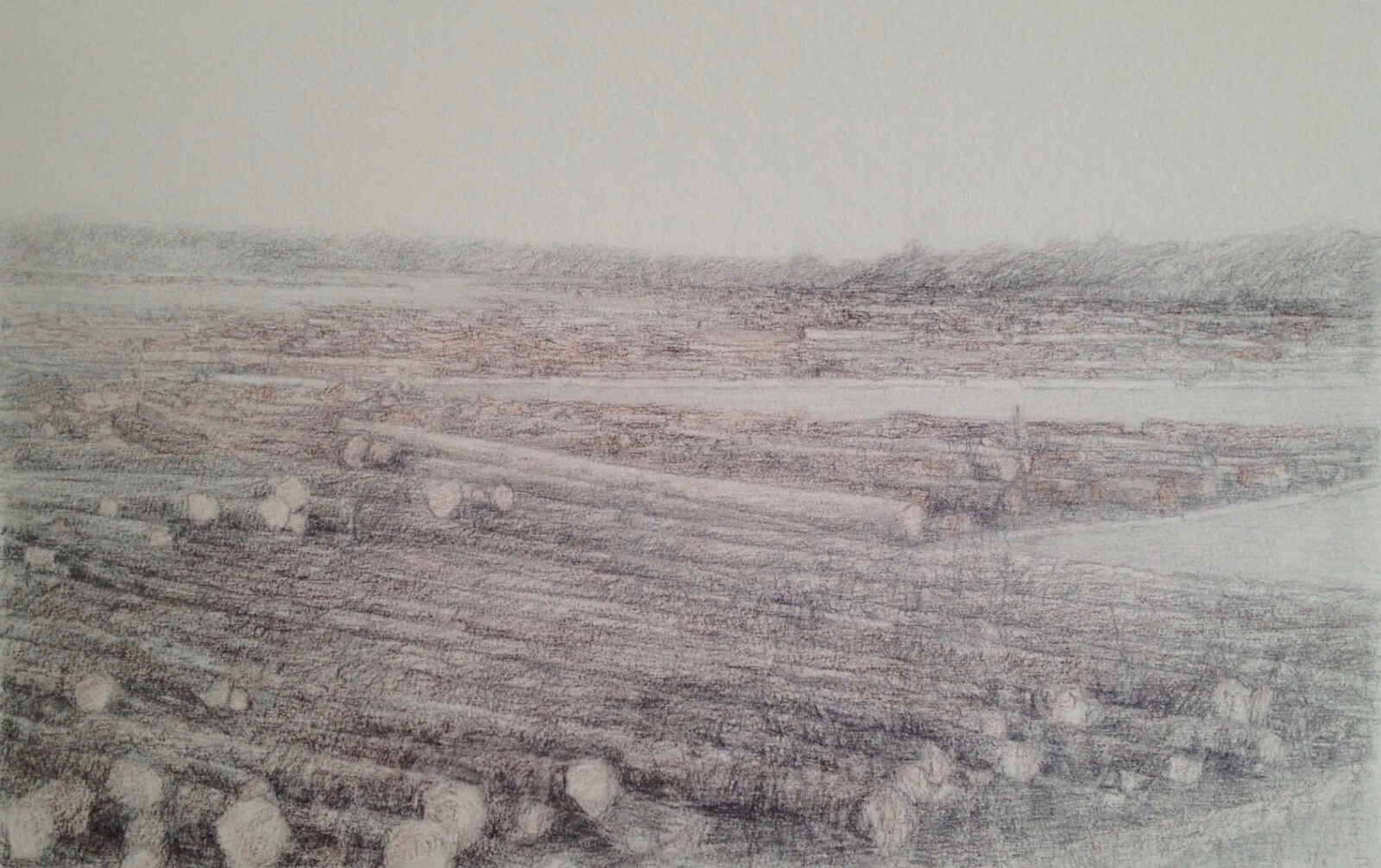 Liza Visagie - Fraser River. Charcoal 9 x 11 inches